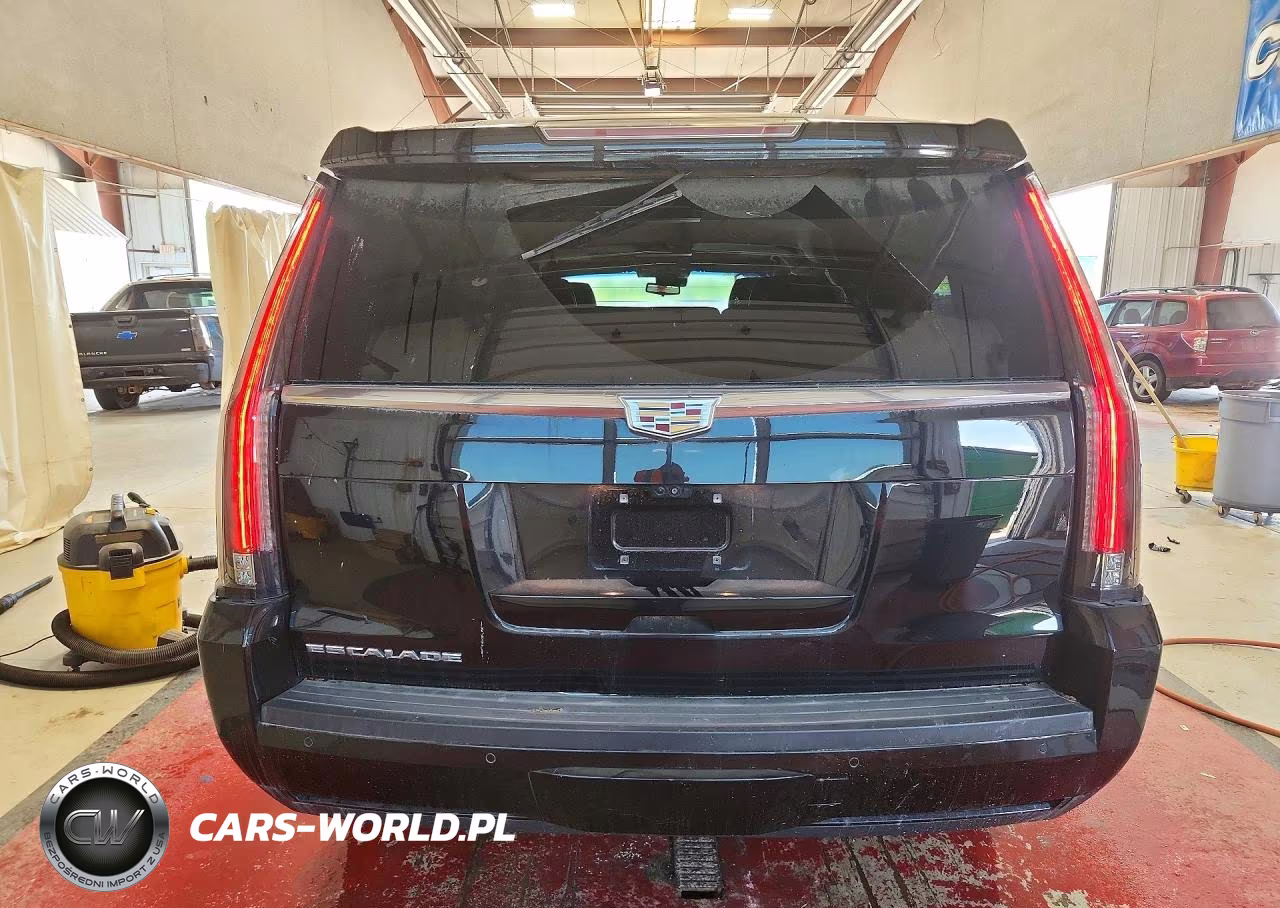 2019 Cadillac Escalade Esv Luxury VIN:1GYS4HKJXKR395623 - 6