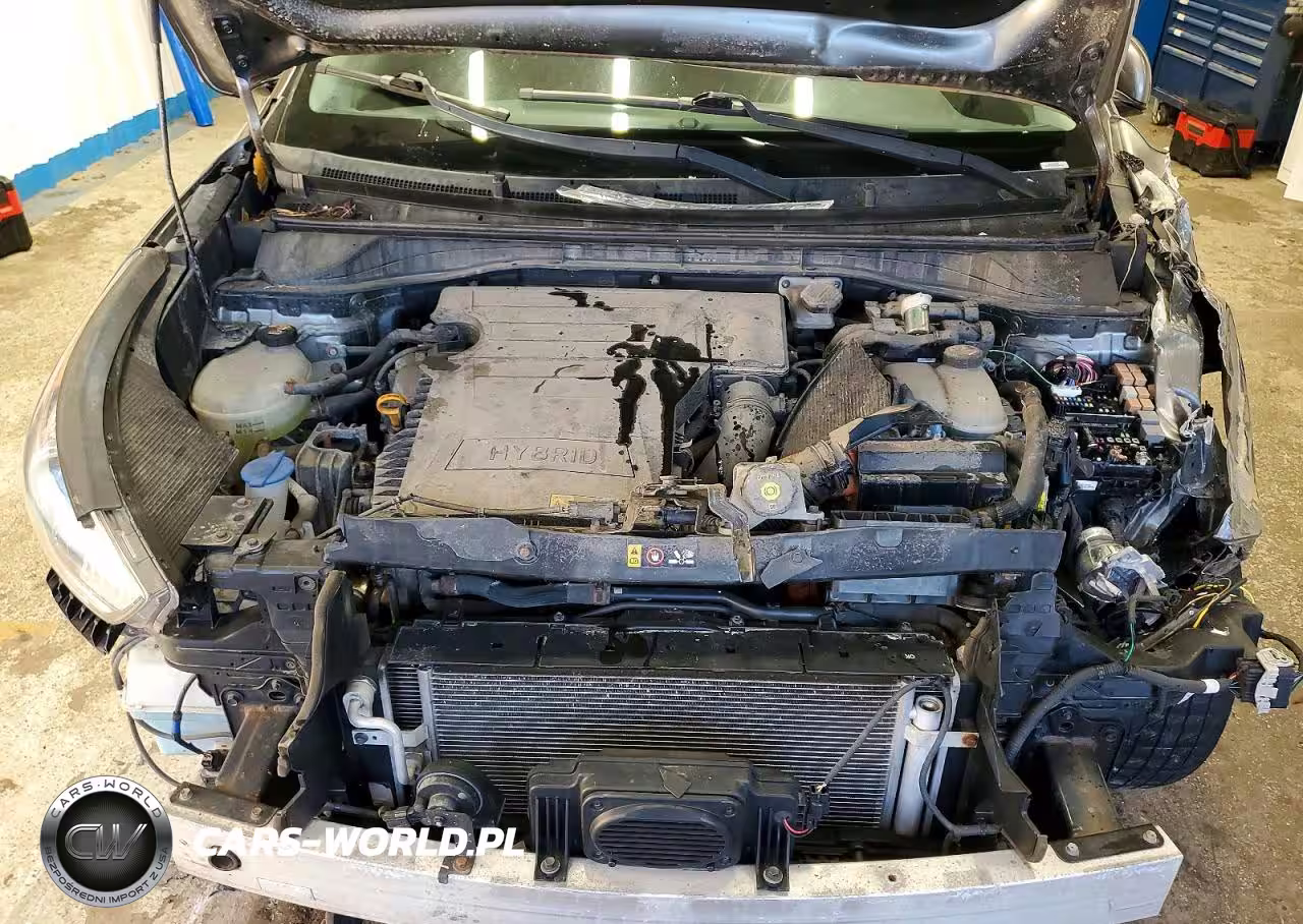 2017 Kia Niro Fe VIN:KNDCB3LC4H5053913 - 12