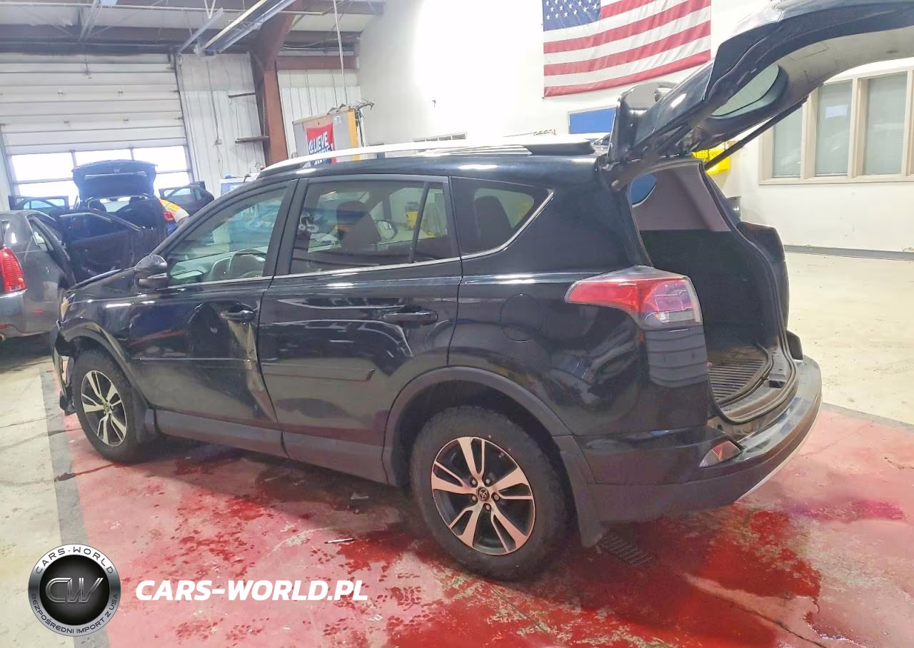 2016 Toyota Rav4 Xle VIN:2T3RFREV4GW440064 - 2