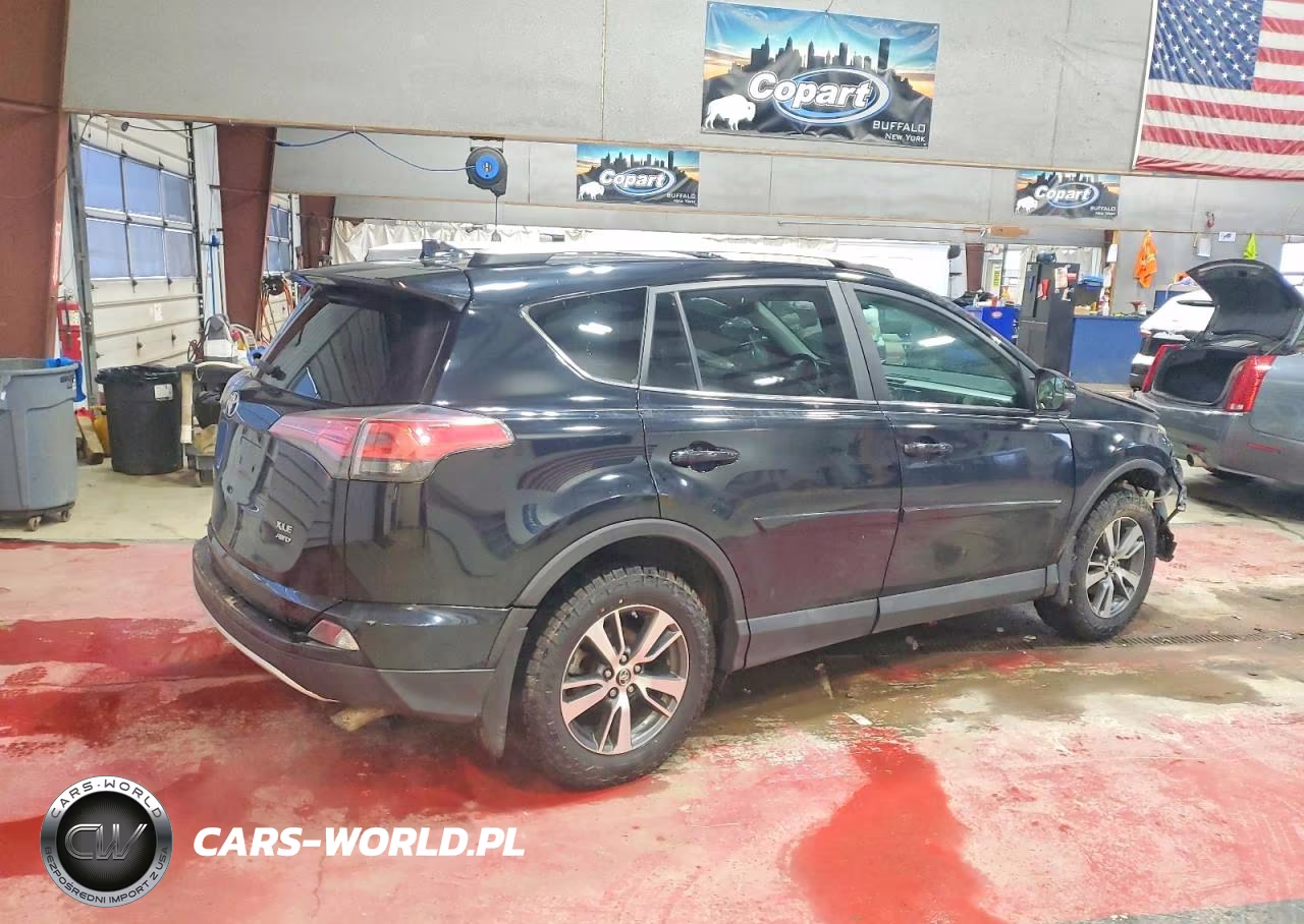 2016 Toyota Rav4 Xle VIN:2T3RFREV4GW440064 - 3
