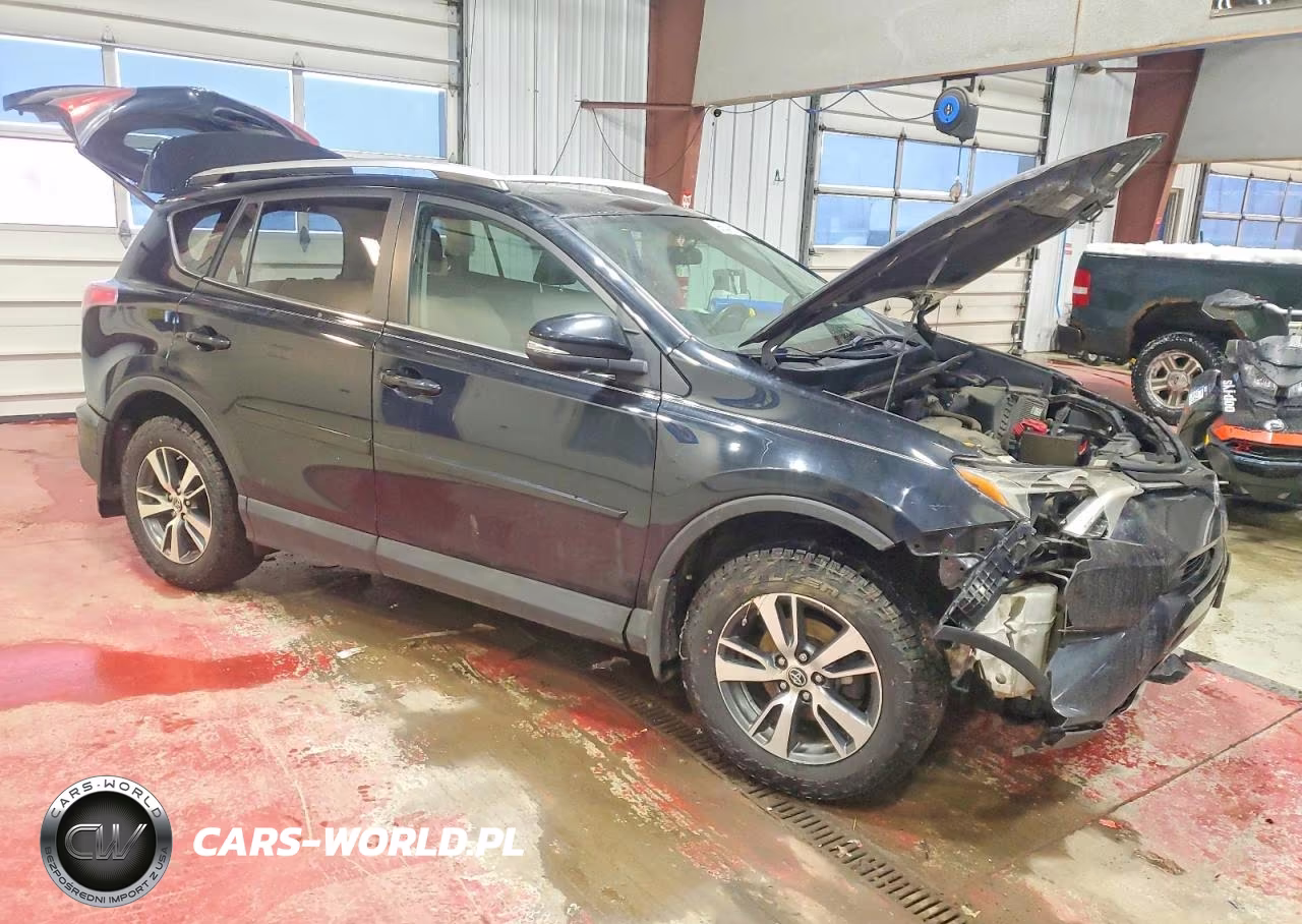2016 Toyota Rav4 Xle VIN:2T3RFREV4GW440064 - 4