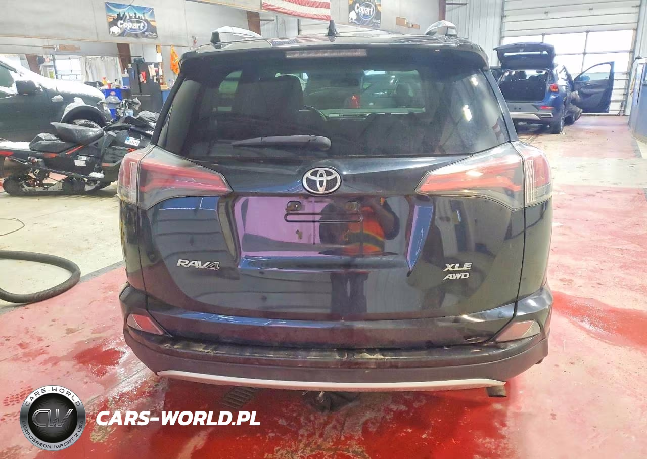 2016 Toyota Rav4 Xle VIN:2T3RFREV4GW440064 - 6
