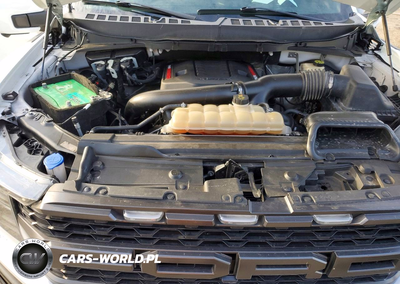 2023 FORD F150 RAPTOR VIN:1FTFW1RG1PFB75976 - 11