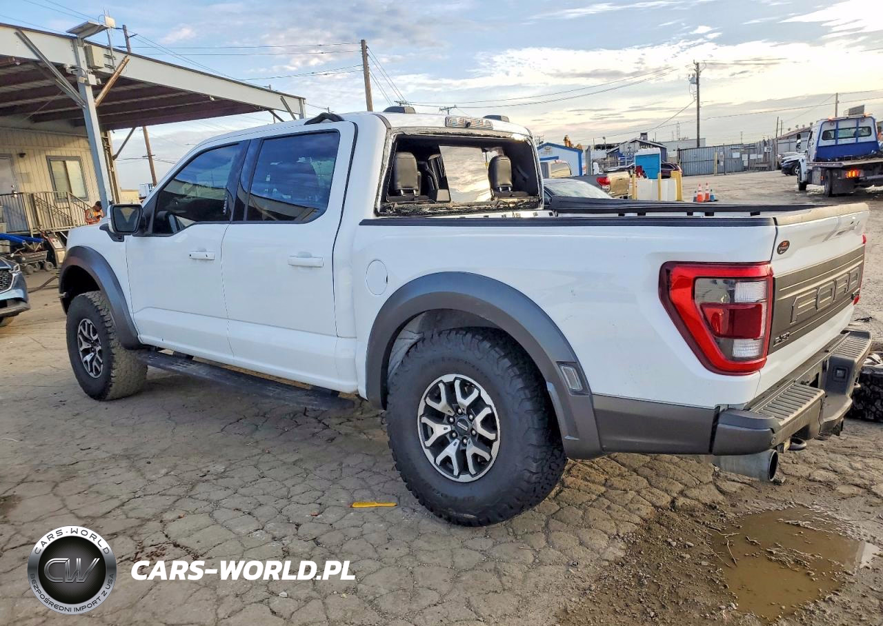 2023 FORD F150 RAPTOR VIN:1FTFW1RG1PFB75976 - 2
