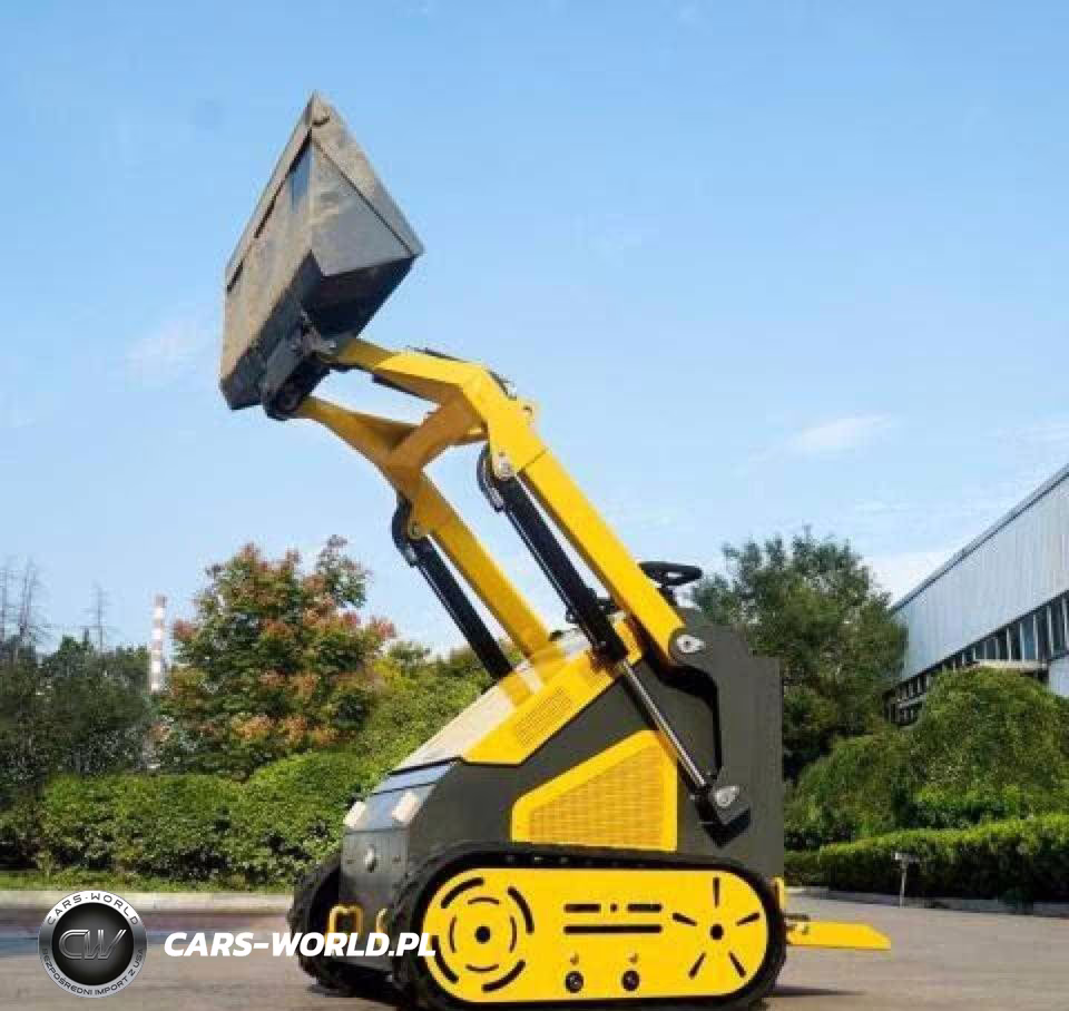 2025 OTHER SKID STEER  VIN:3810442 - 3