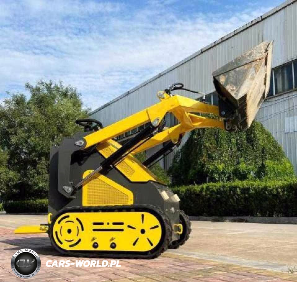 2025 OTHER SKID STEER  VIN:3810442 - 4