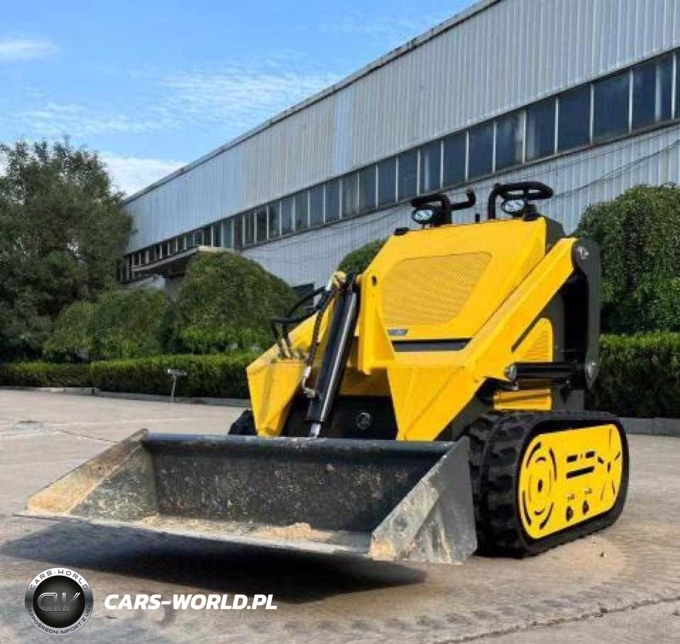 2025 OTHER SKID STEER  VIN:3810442 - 5