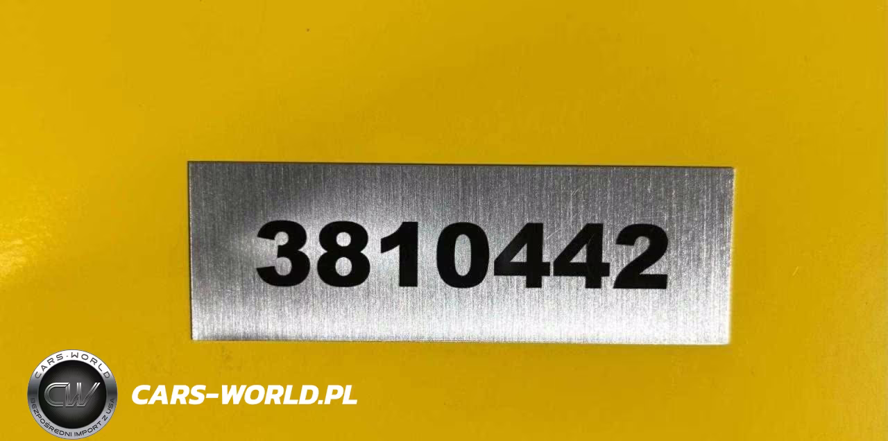 2025 OTHER SKID STEER  VIN:3810442 - 9