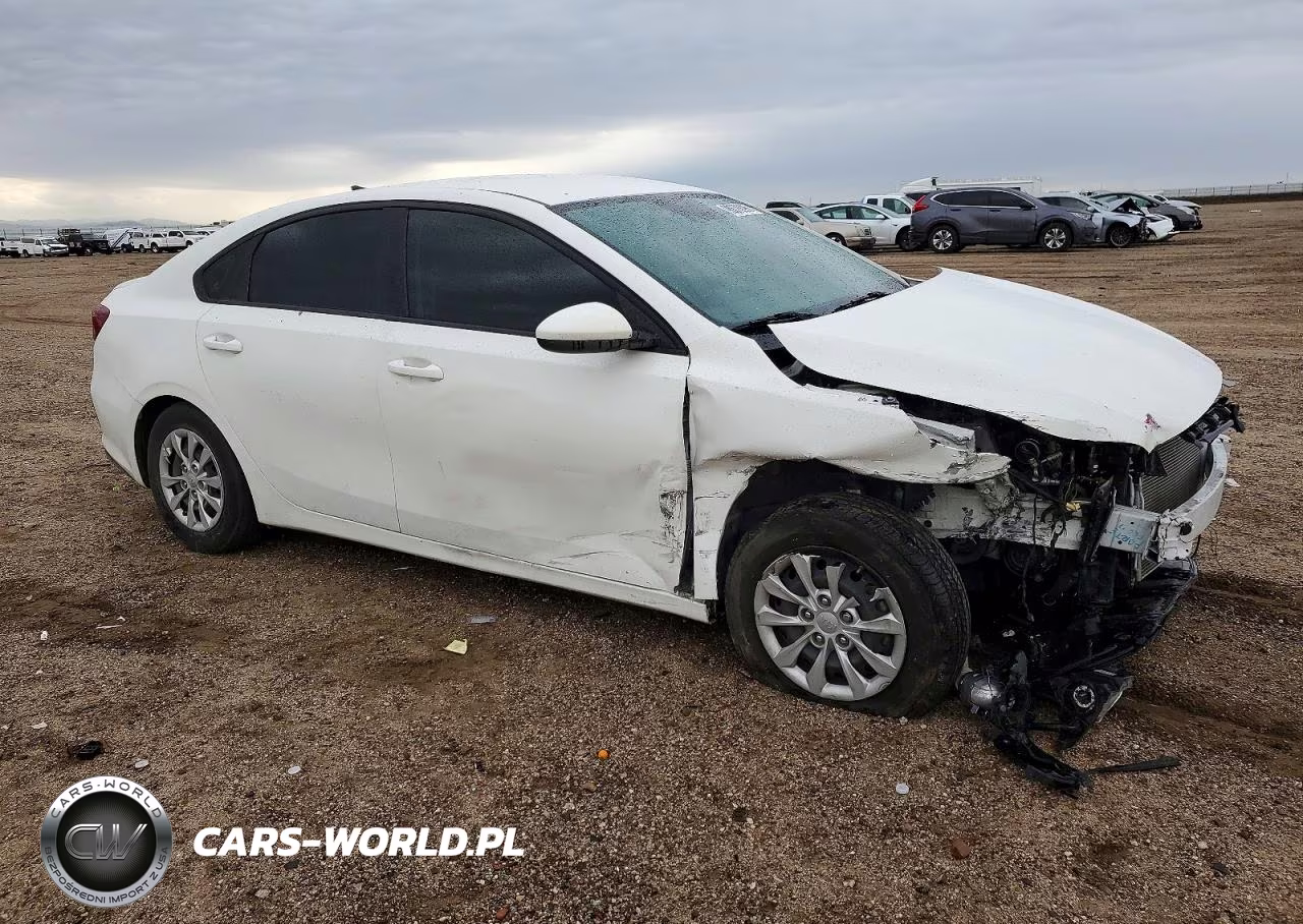 2020 Kia Forte Fe VIN:3KPF24AD3LE181958 - 4