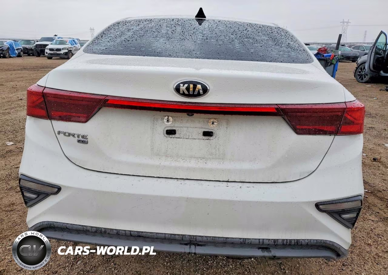 2020 Kia Forte Fe VIN:3KPF24AD3LE181958 - 6