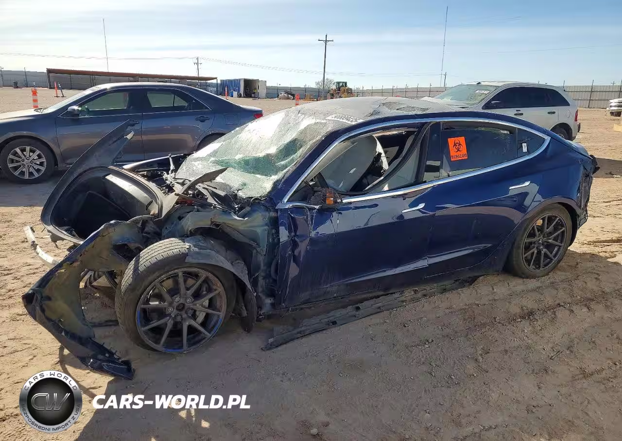 2019 Tesla Model 3