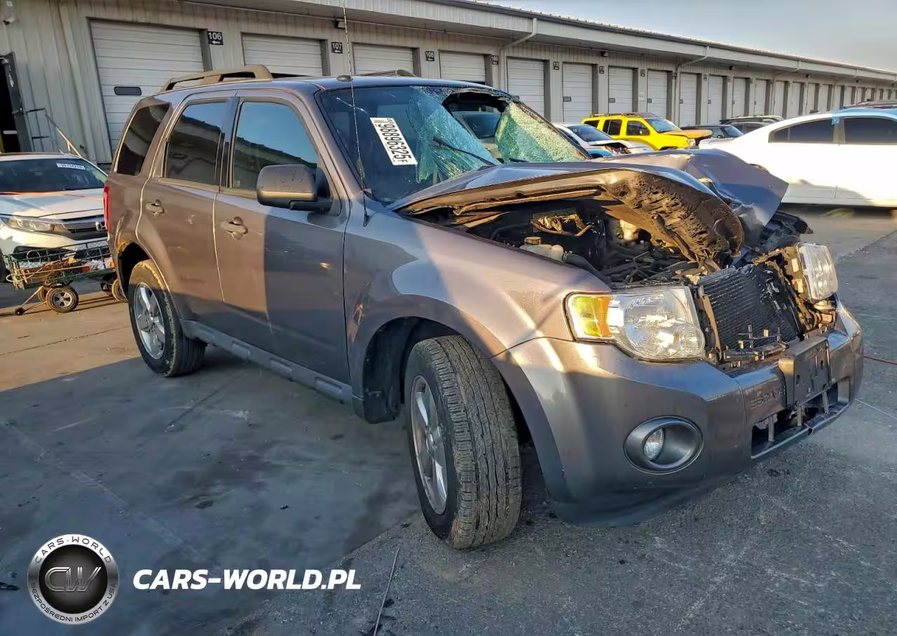 2011 Ford Escape Xlt VIN:1FMCU9D71BKA06003 - 4
