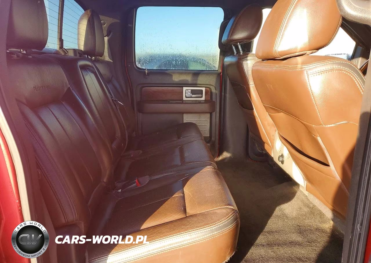 2010 Ford F150 Supercrew VIN:1FTFW1EV5AFB74924 - 10