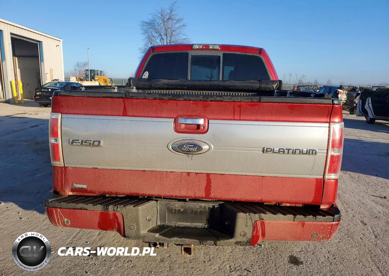 2010 Ford F150 Supercrew VIN:1FTFW1EV5AFB74924 - 6