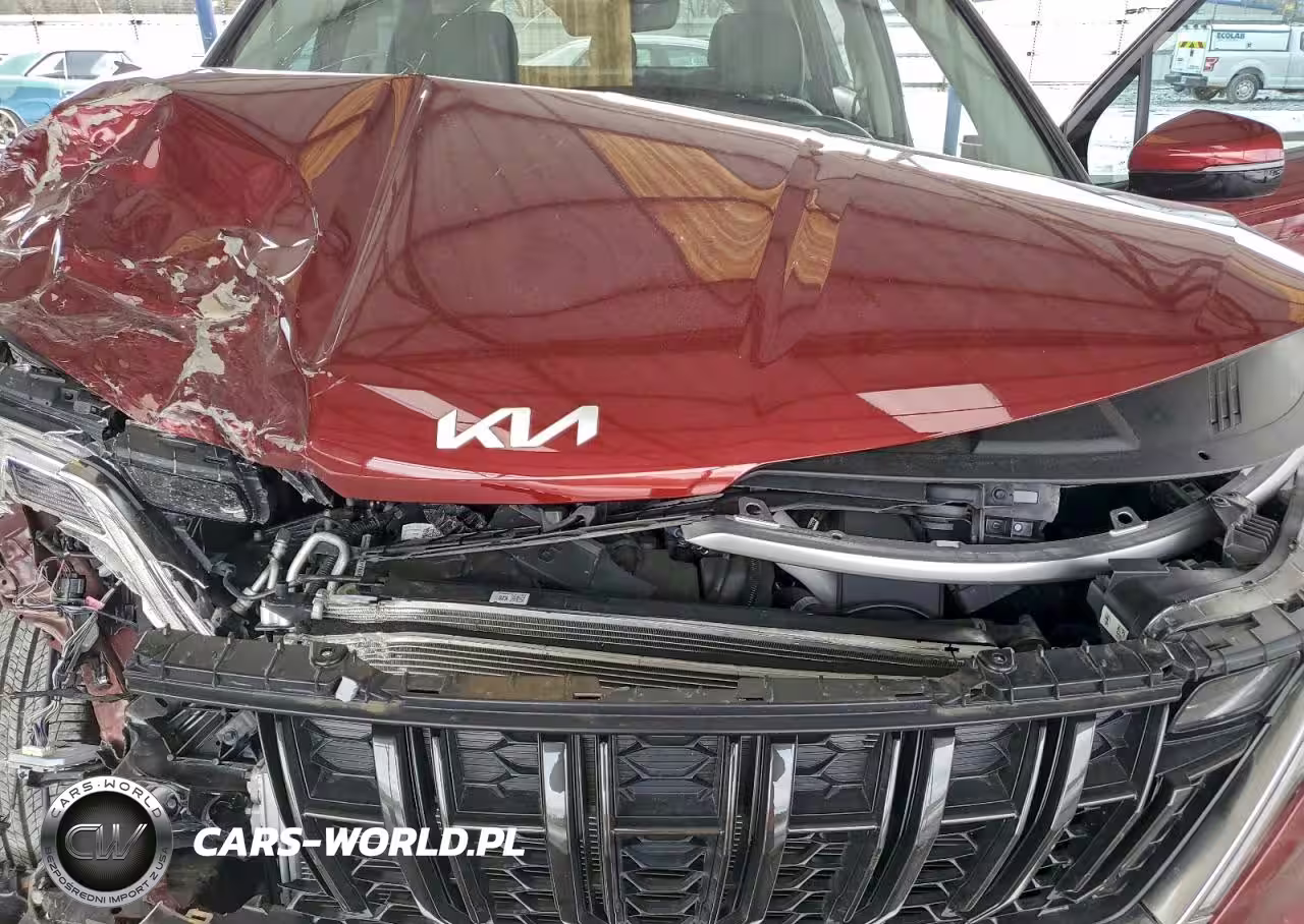 2024 Kia Carnival Lx VIN:KNDNB4H39R6443439 - 11