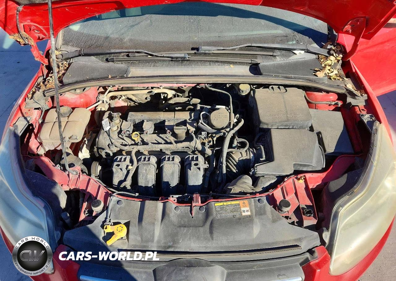 2014 Ford Focus VIN:1FADP3F21EL173691 - 11