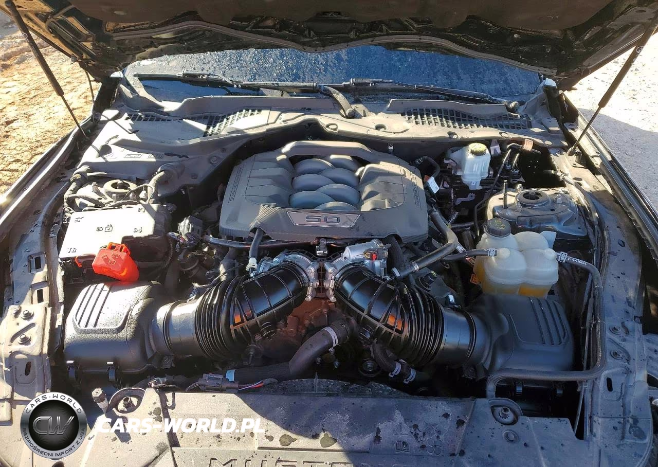 2024 Ford Mustang Gt VIN:1FA6P8CF2R5410602 - 11