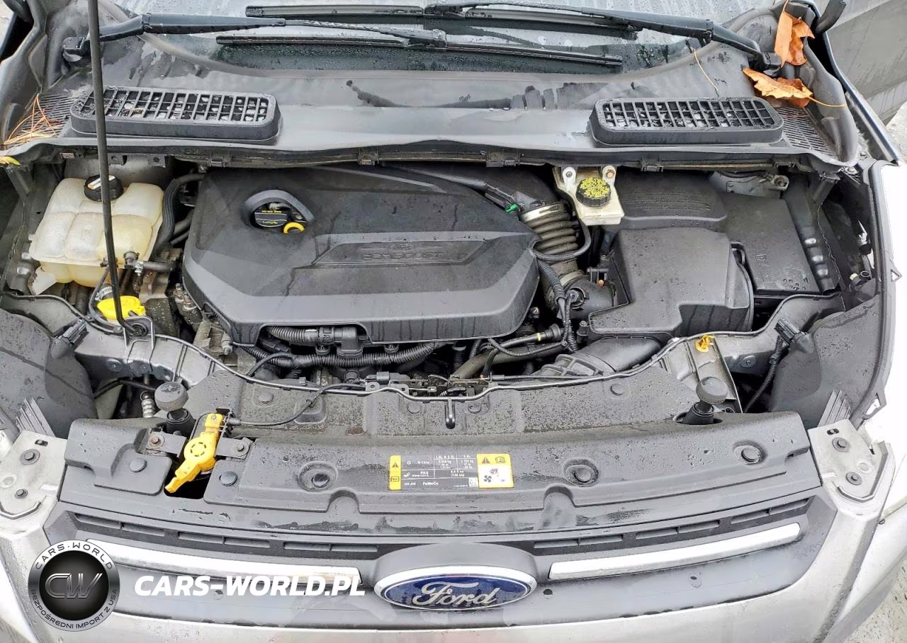 2014 Ford Escape Se VIN:1FMCU9GXXEUD07034 - 12