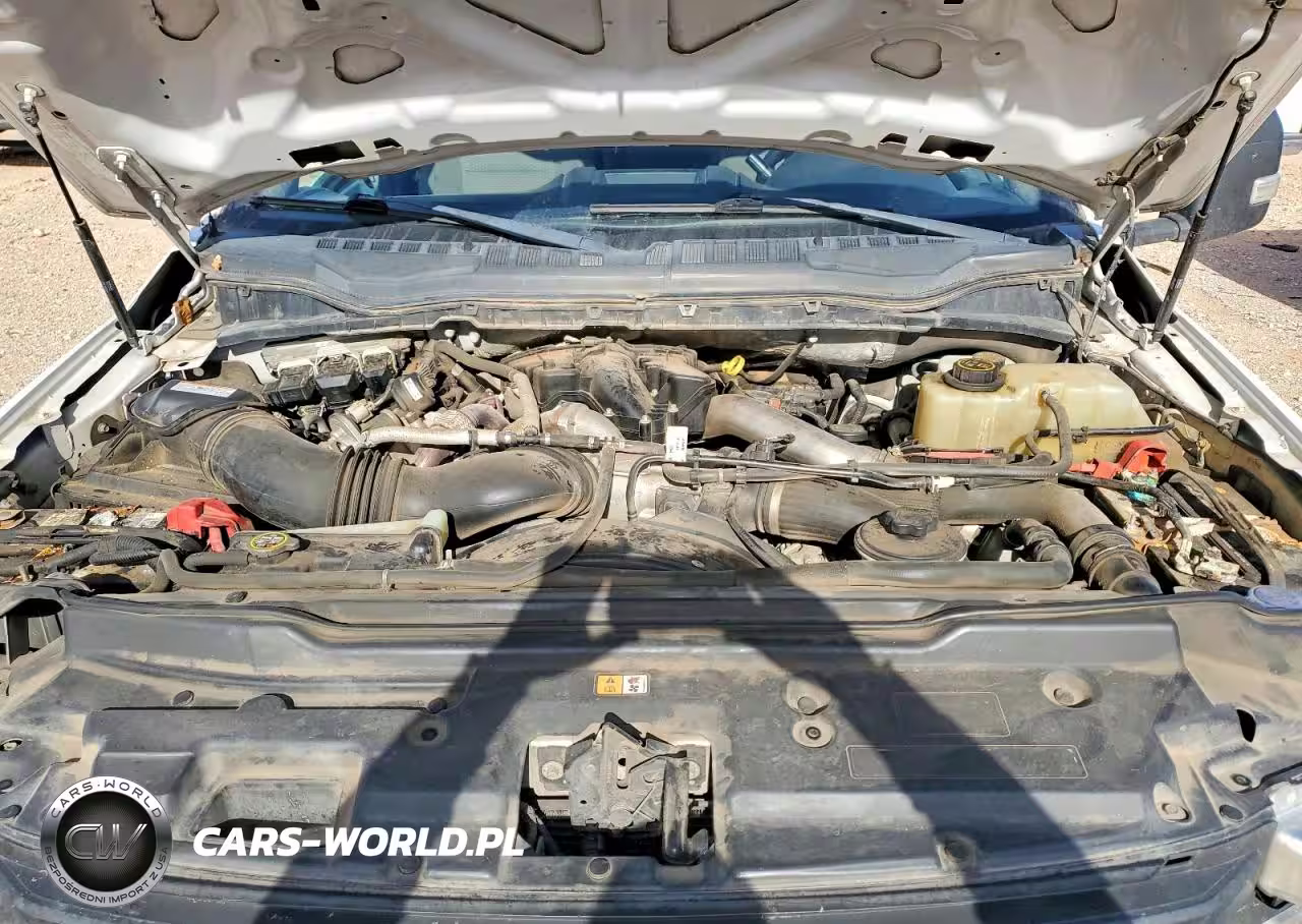 2019 Ford F350 Super Duty VIN:1FT8W3DT1KEE33047 - 11