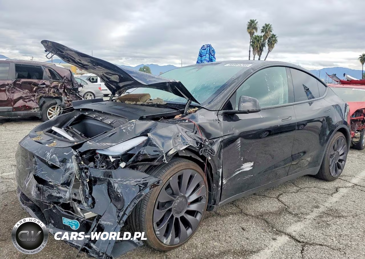 2025 Tesla Model Y VIN:7SAYGDEF6SF309532 - 1
