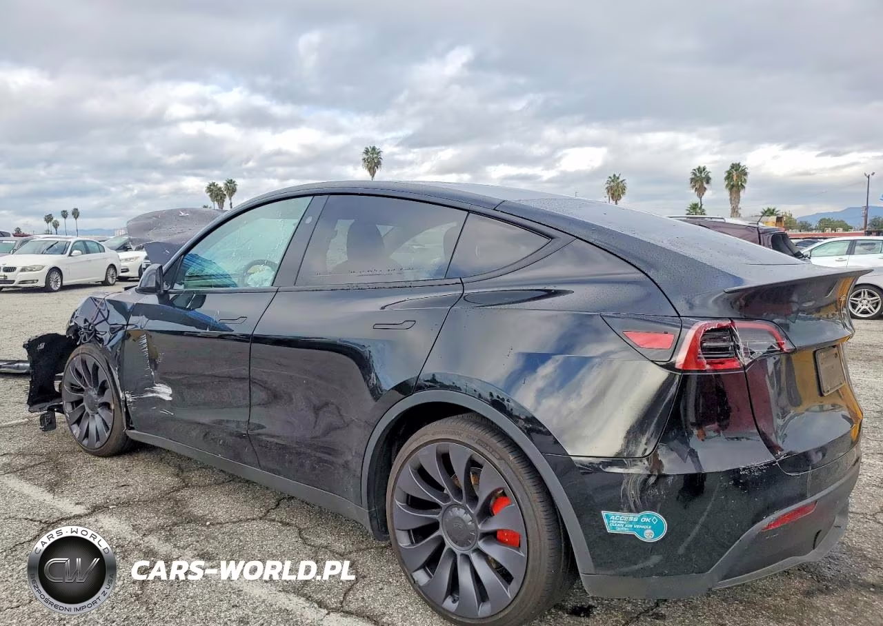 2025 Tesla Model Y VIN:7SAYGDEF6SF309532 - 2