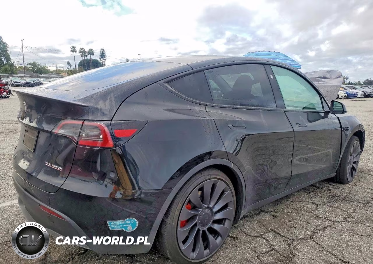2025 Tesla Model Y VIN:7SAYGDEF6SF309532 - 3