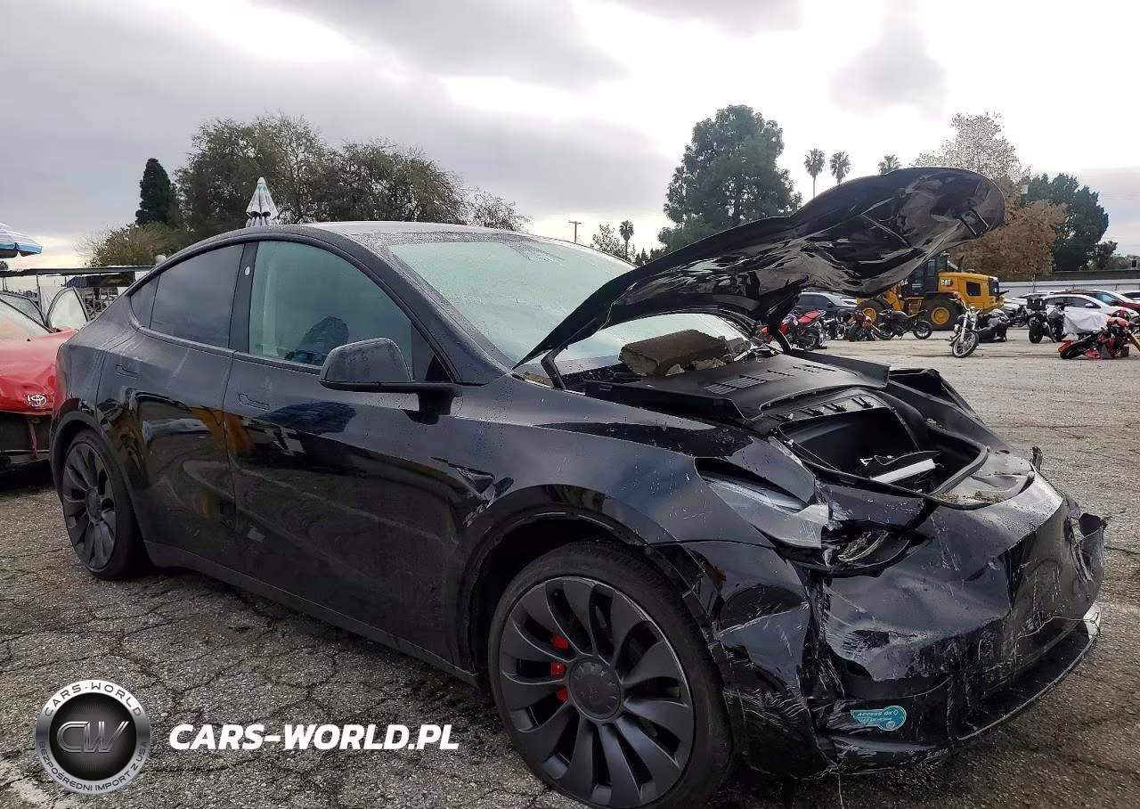 2025 Tesla Model Y VIN:7SAYGDEF6SF309532 - 4
