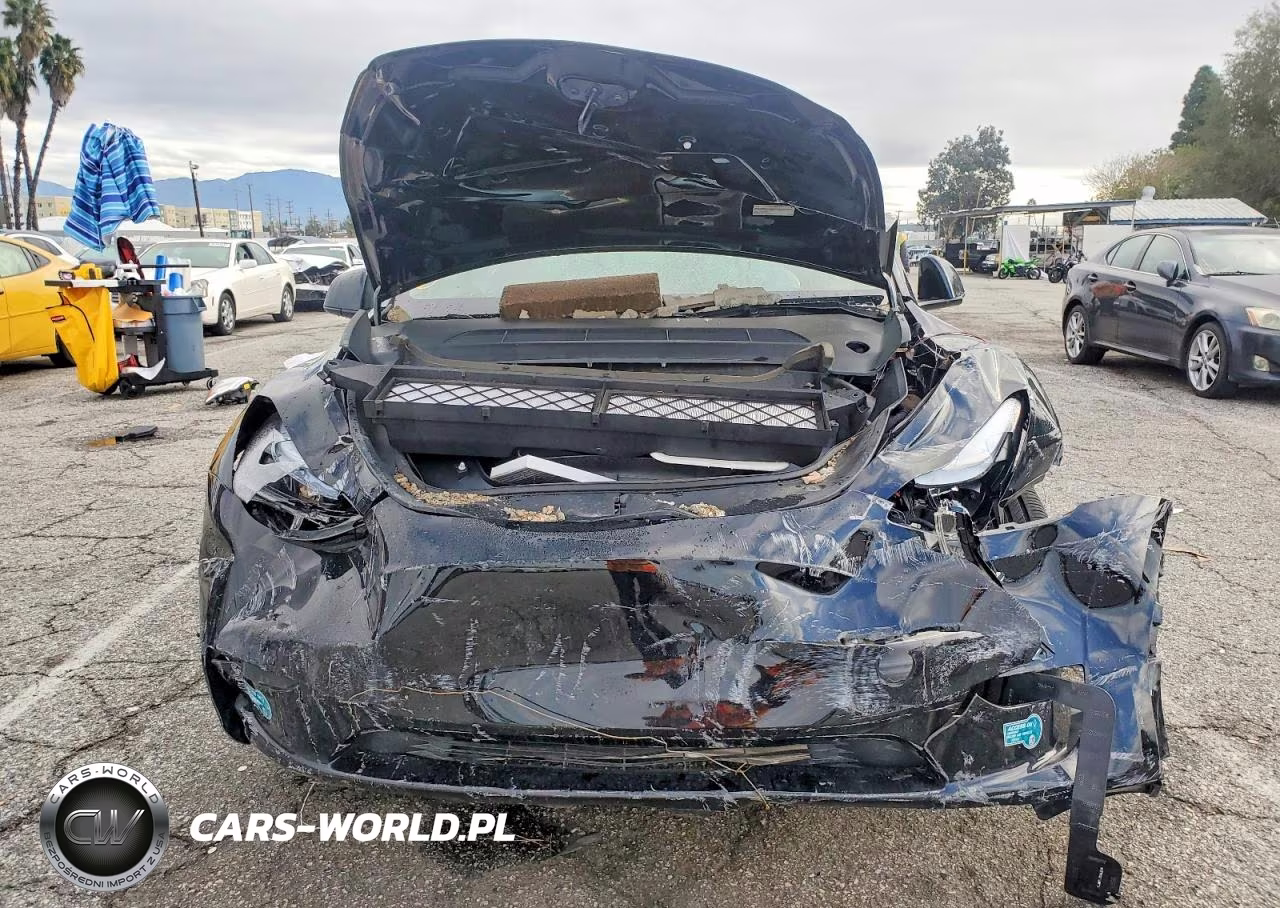 2025 Tesla Model Y VIN:7SAYGDEF6SF309532 - 5