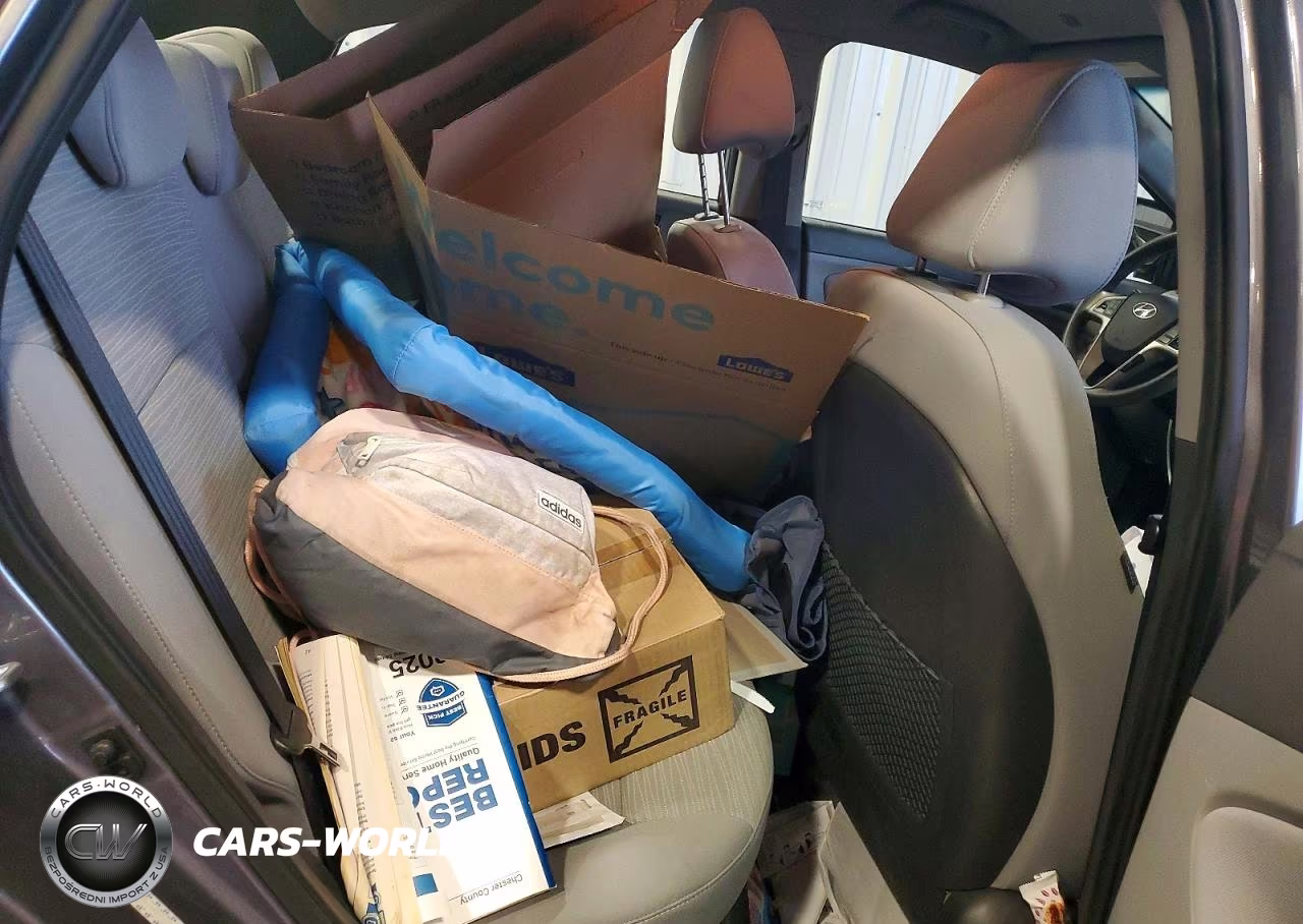 2017 Hyundai Accent Se VIN:KMHCT4AE7HU285723 - 10