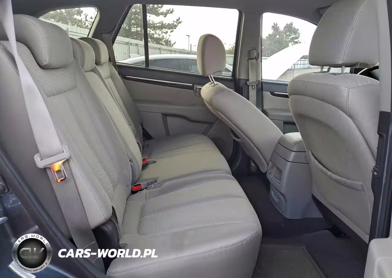 2009 Hyundai Santa Fe Gls VIN:5NMSG13D39H311749 - 11