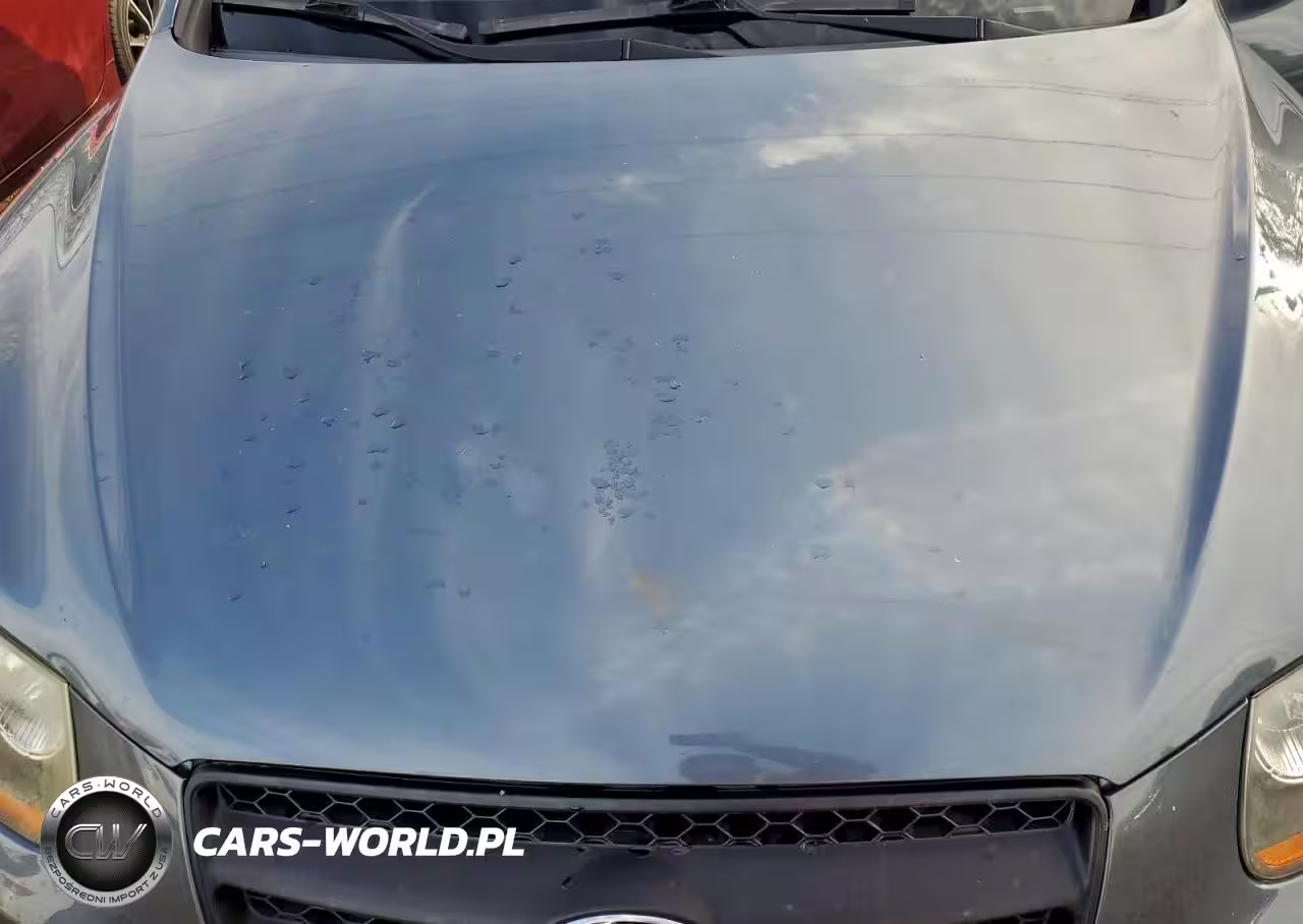 2009 Hyundai Santa Fe Gls VIN:5NMSG13D39H311749 - 12