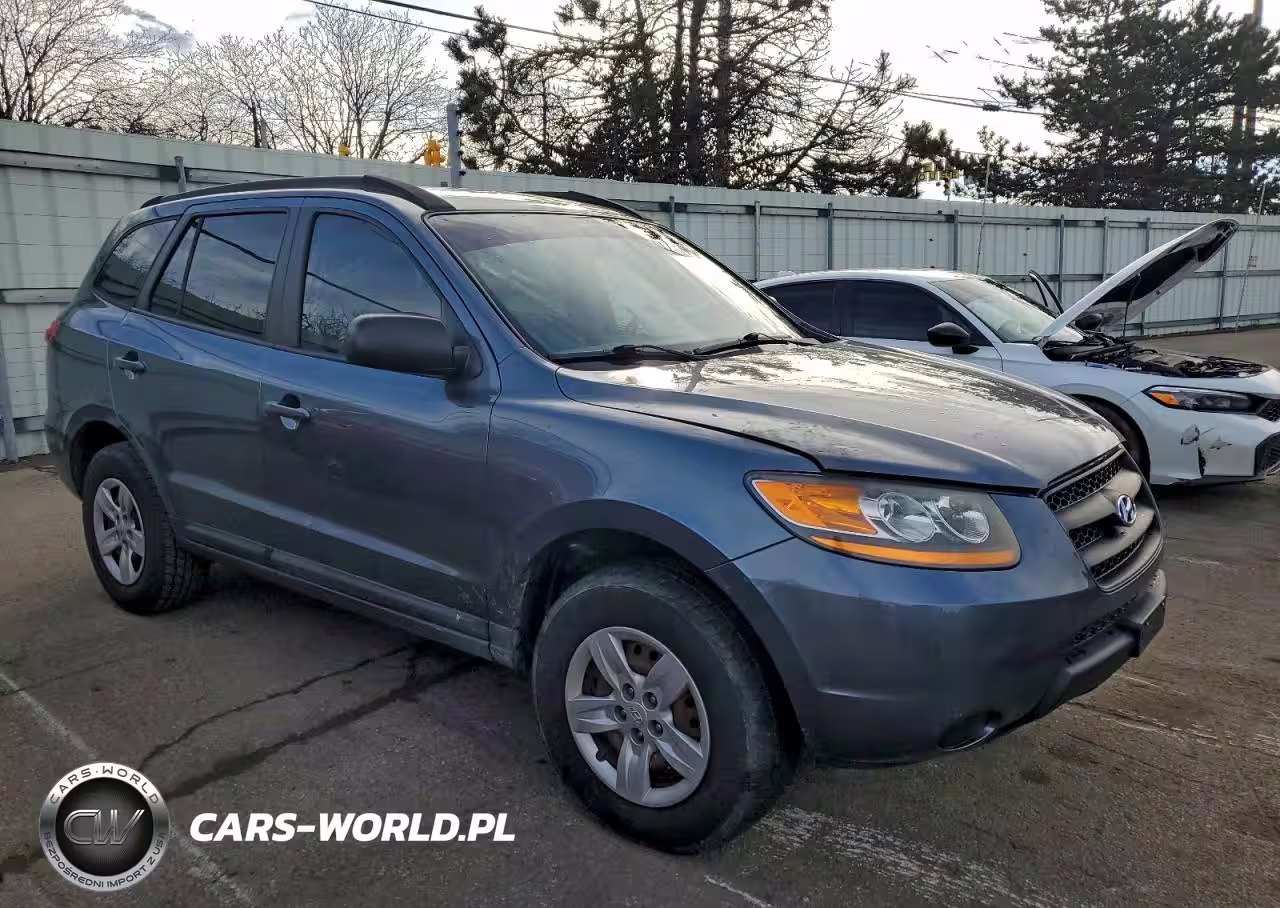 2009 Hyundai Santa Fe Gls VIN:5NMSG13D39H311749 - 4