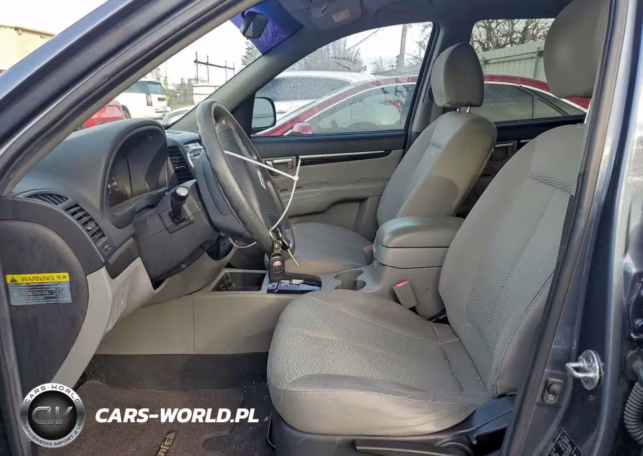 2009 Hyundai Santa Fe Gls VIN:5NMSG13D39H311749 - 7
