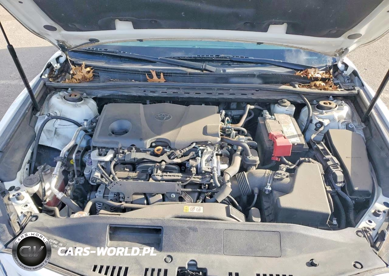 2020 Toyota Camry Se VIN:4T1G11AK4LU361841 - 11