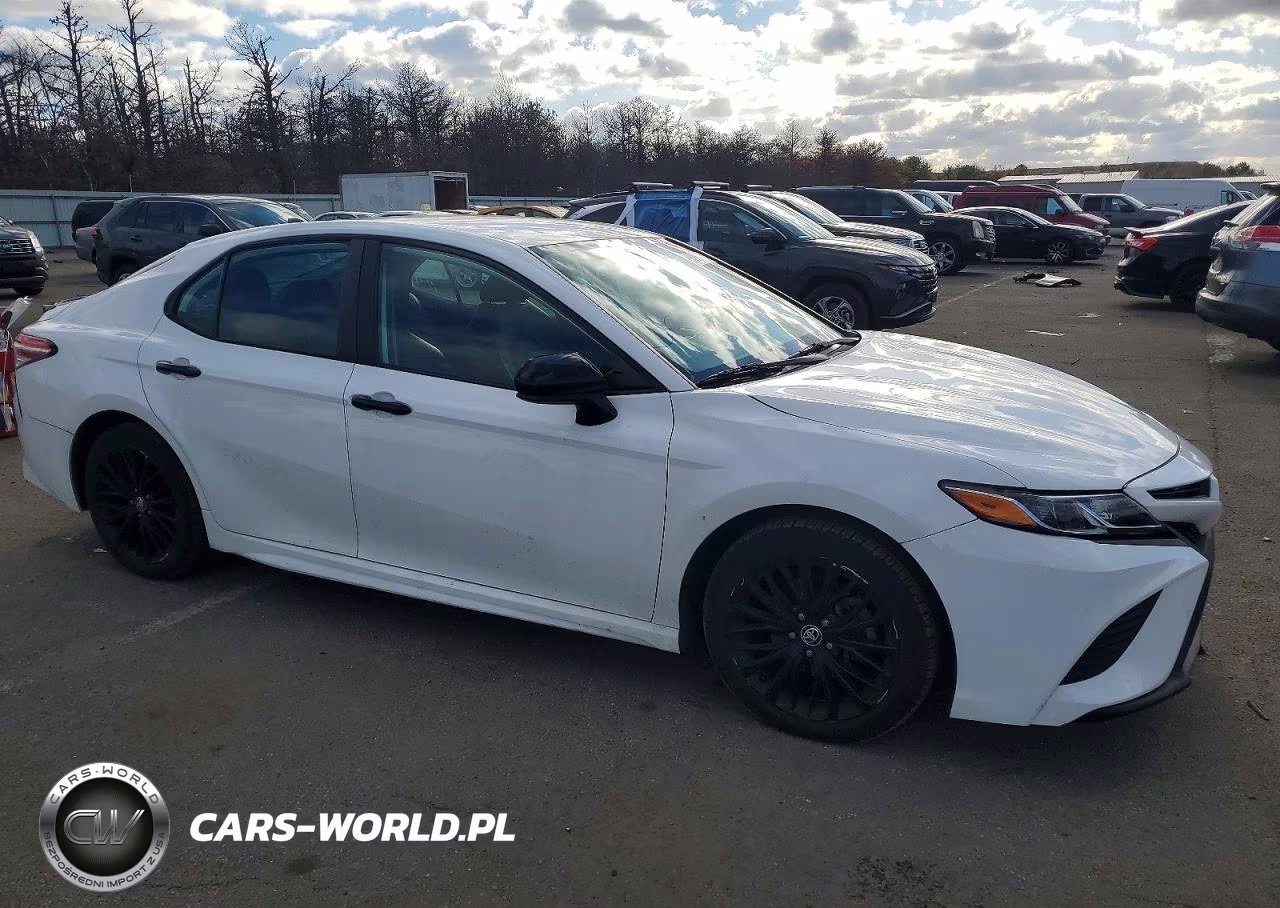 2020 Toyota Camry Se VIN:4T1G11AK4LU361841 - 4