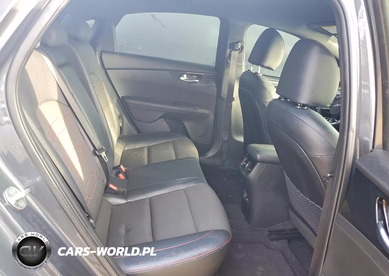 2023 Kia Forte Gt VIN:3KPF44AC1PE587308 - 10