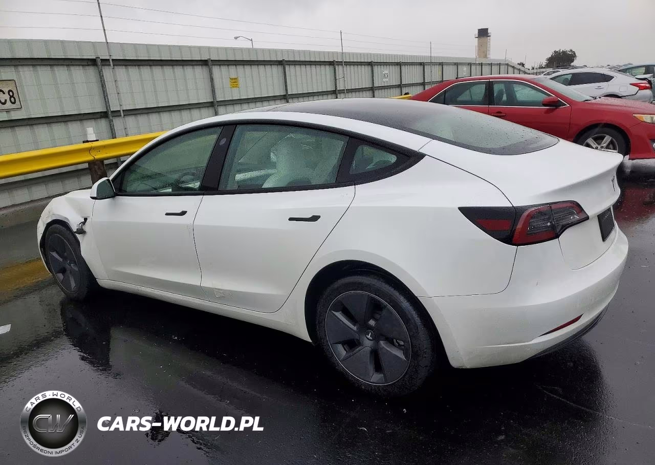 2023 Tesla Model 3 VIN:5YJ3E1EA3PF585447 - 2