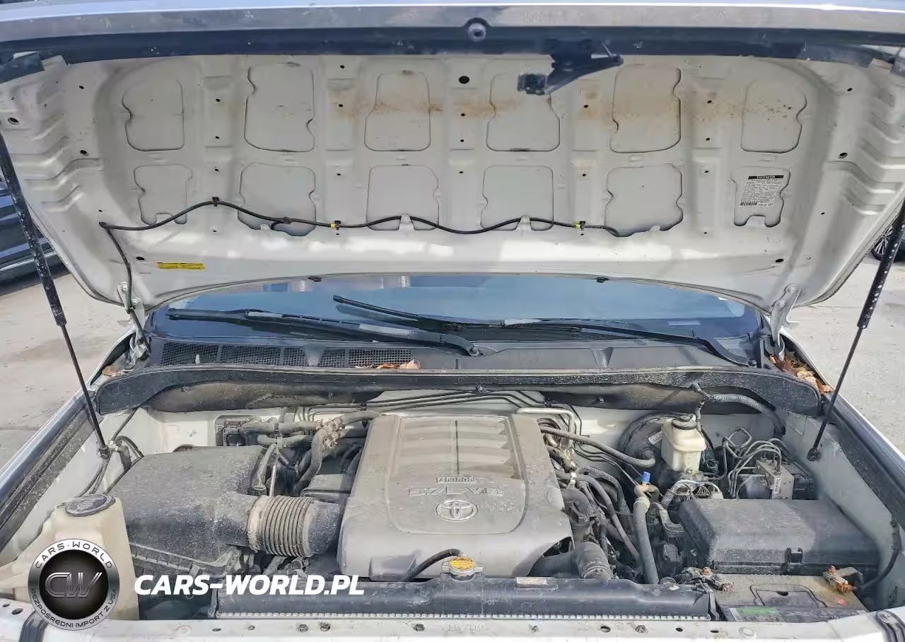 2010 Toyota Sequoia Platinum VIN:5TDDW5G17AS027111 - 12