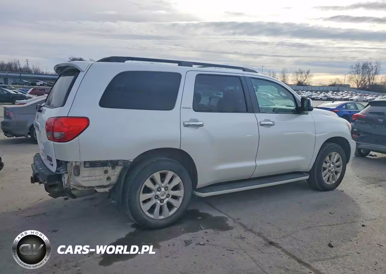 2010 Toyota Sequoia Platinum VIN:5TDDW5G17AS027111 - 3