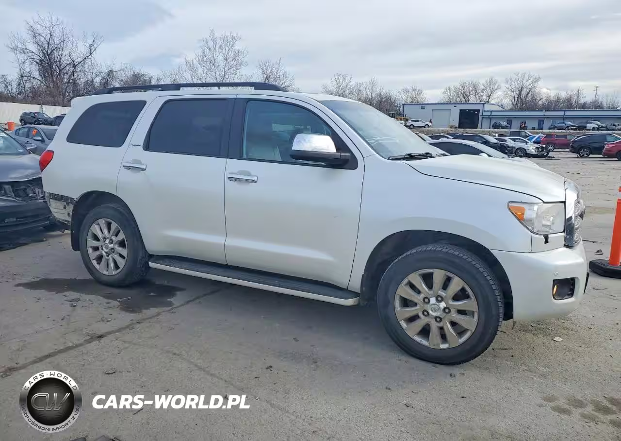 2010 Toyota Sequoia Platinum VIN:5TDDW5G17AS027111 - 4
