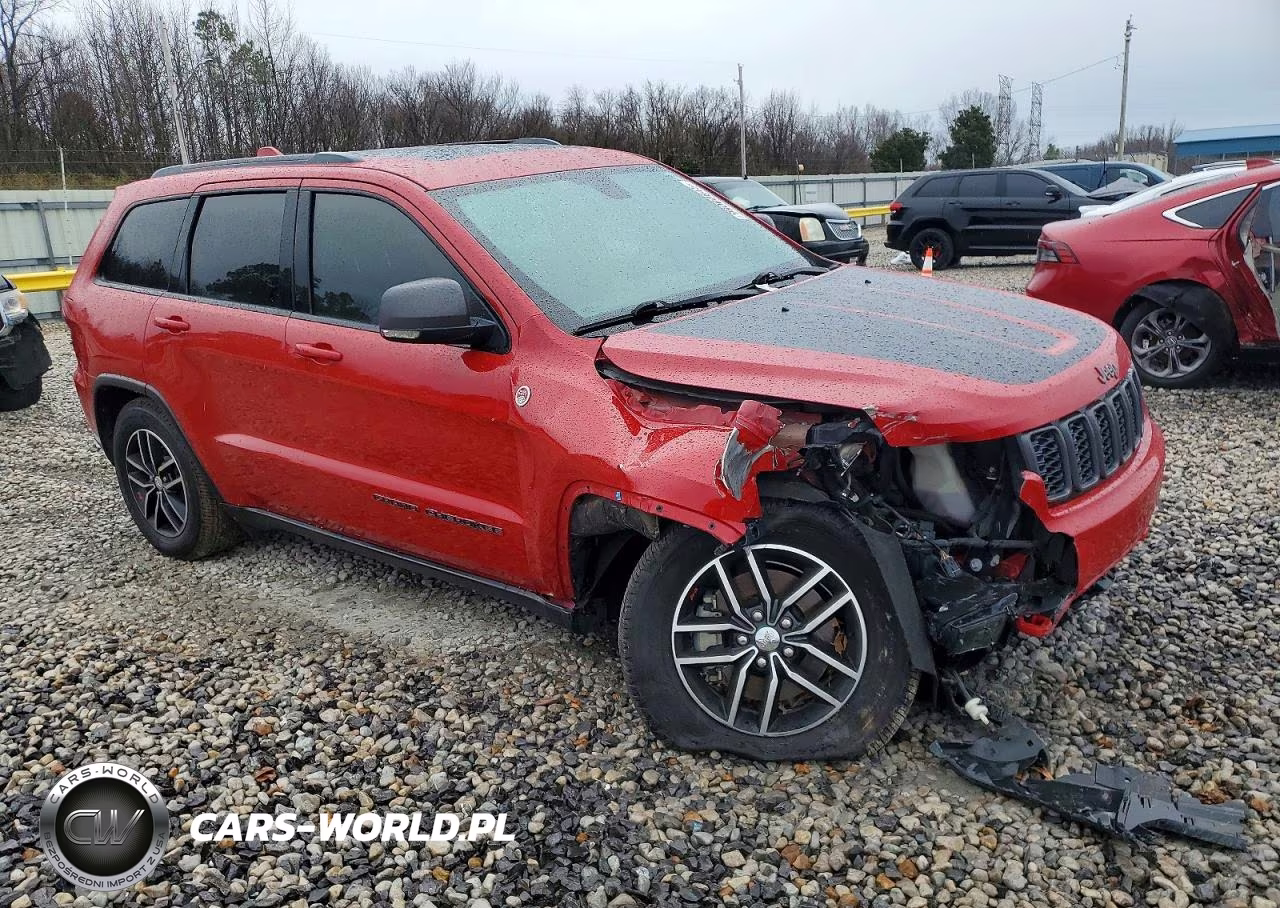 2017 Jeep Grand Cherokee Trailhawk VIN:1C4RJFLT8HC842334 - 4