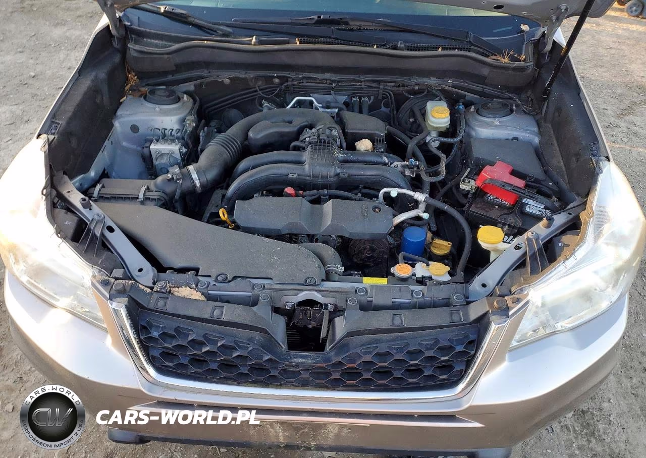 2015 Subaru Forester 2.5I Premium VIN:JF2SJADC1FH418840 - 12