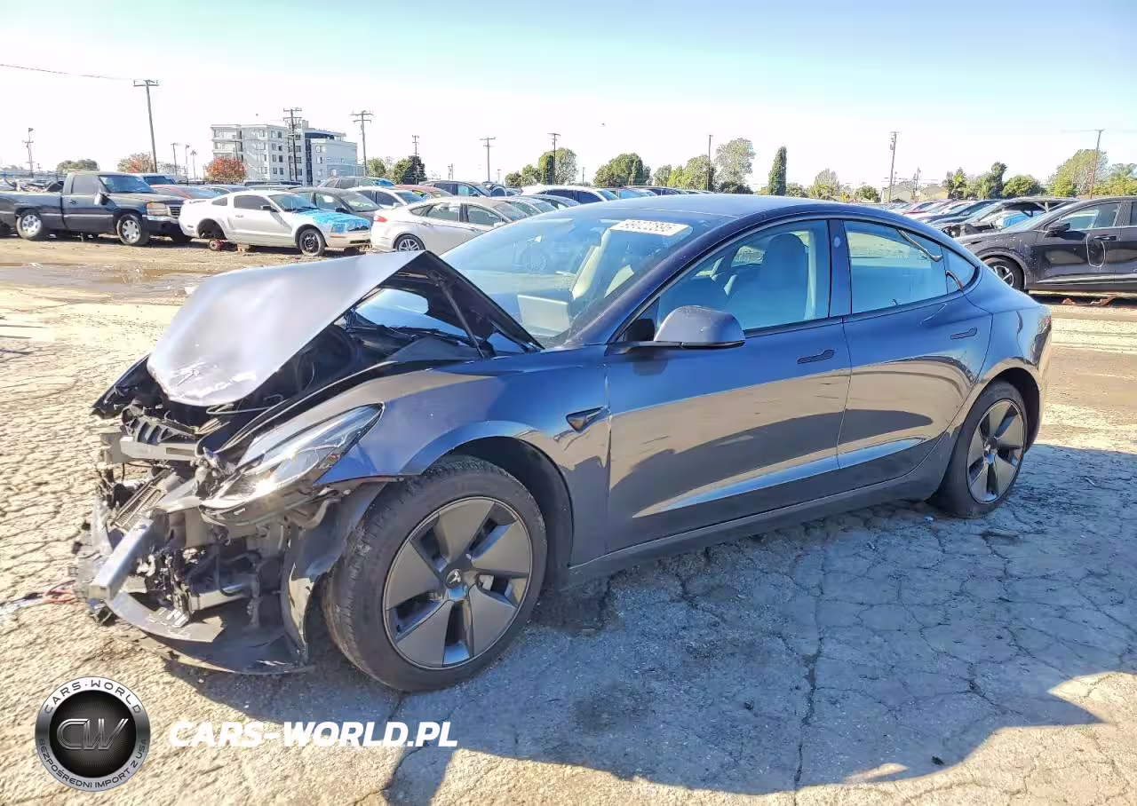 2023 Tesla Model 3