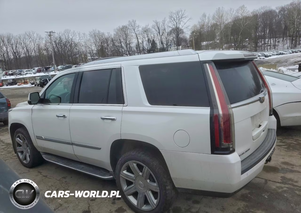 2016 Cadillac Escalade Luxury VIN:1GYS4BKJ6GR163721 - 2