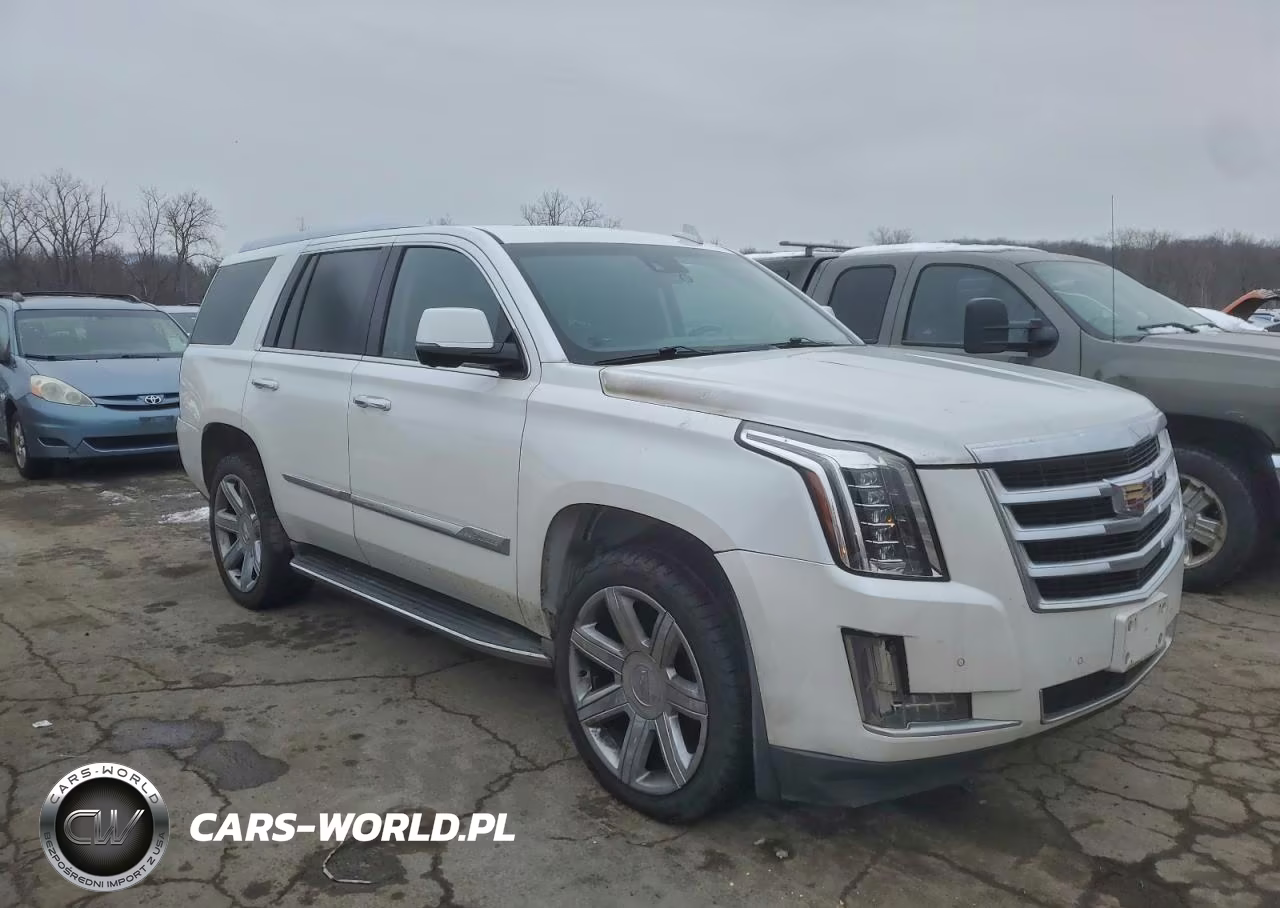 2016 Cadillac Escalade Luxury VIN:1GYS4BKJ6GR163721 - 4