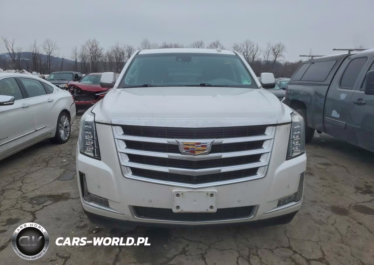 2016 Cadillac Escalade Luxury VIN:1GYS4BKJ6GR163721 - 5
