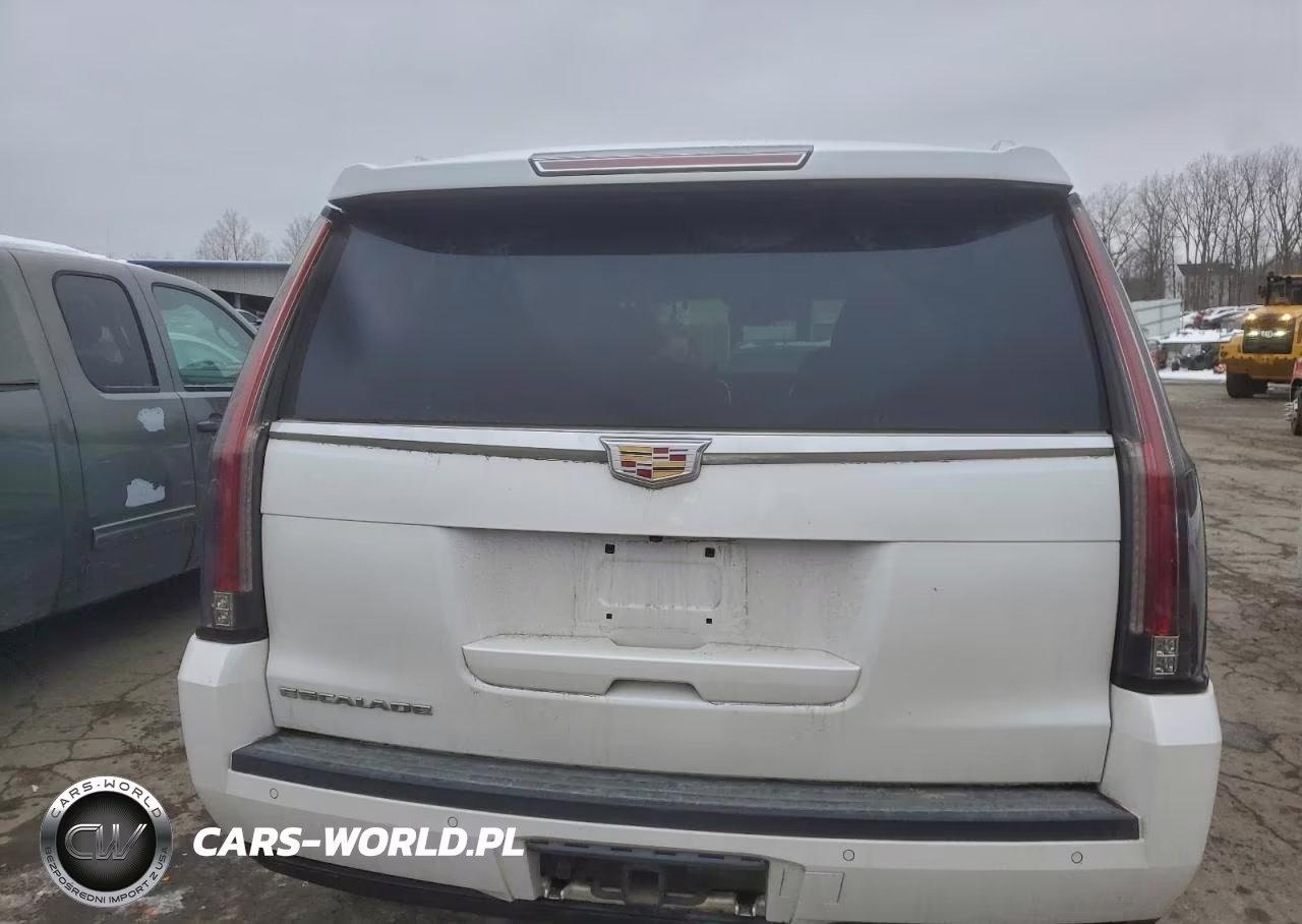 2016 Cadillac Escalade Luxury VIN:1GYS4BKJ6GR163721 - 6