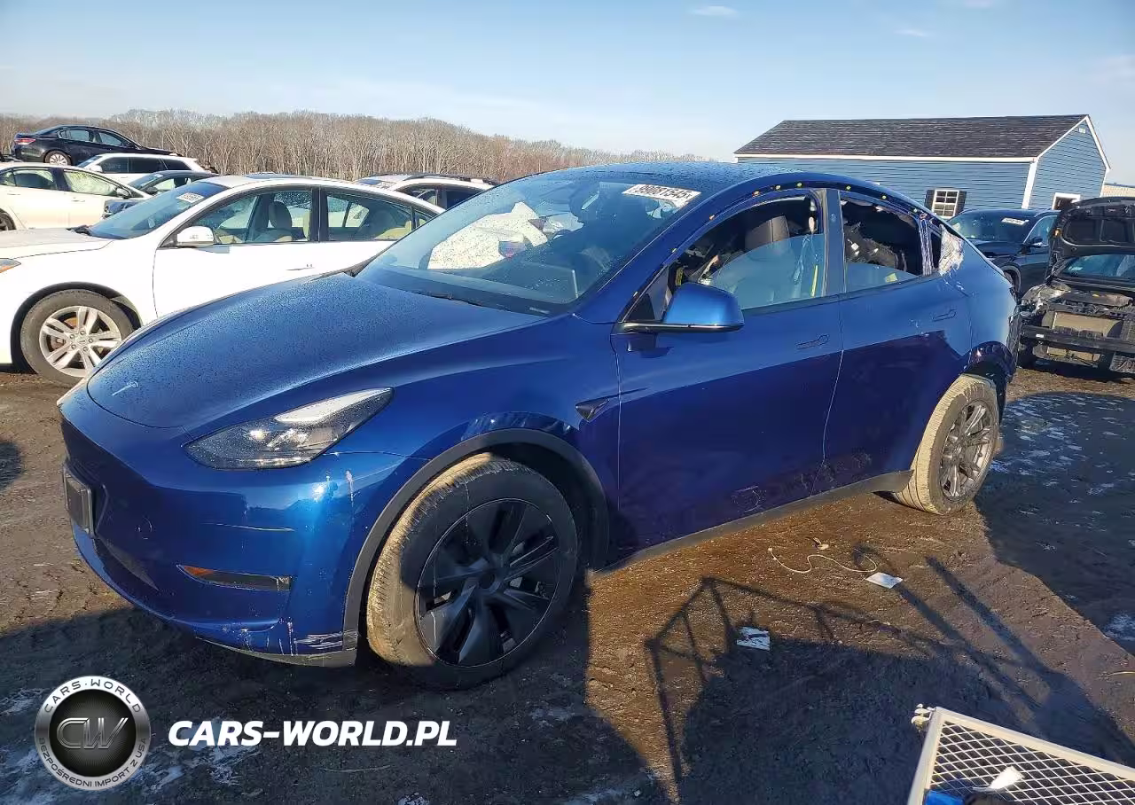 2024 Tesla Model Y