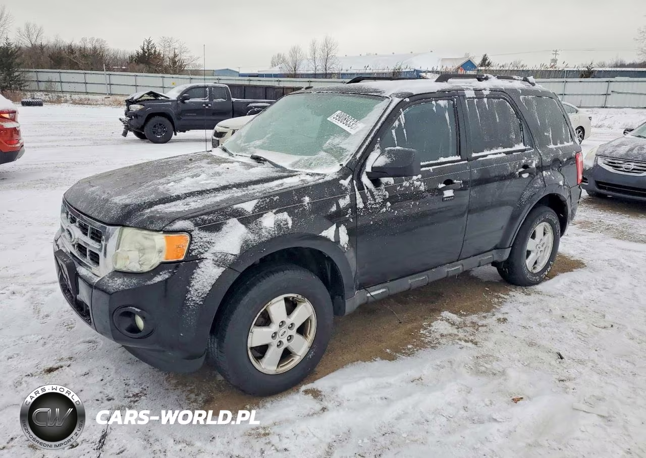 2010 Ford Escape Xlt