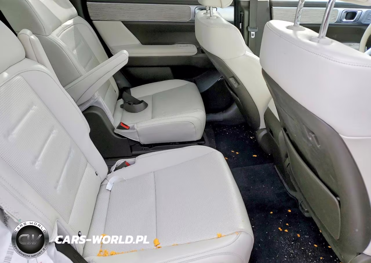 2024 Hyundai Santa Fe Calligraphy VIN:5NMP5DGL1RH062351 - 11